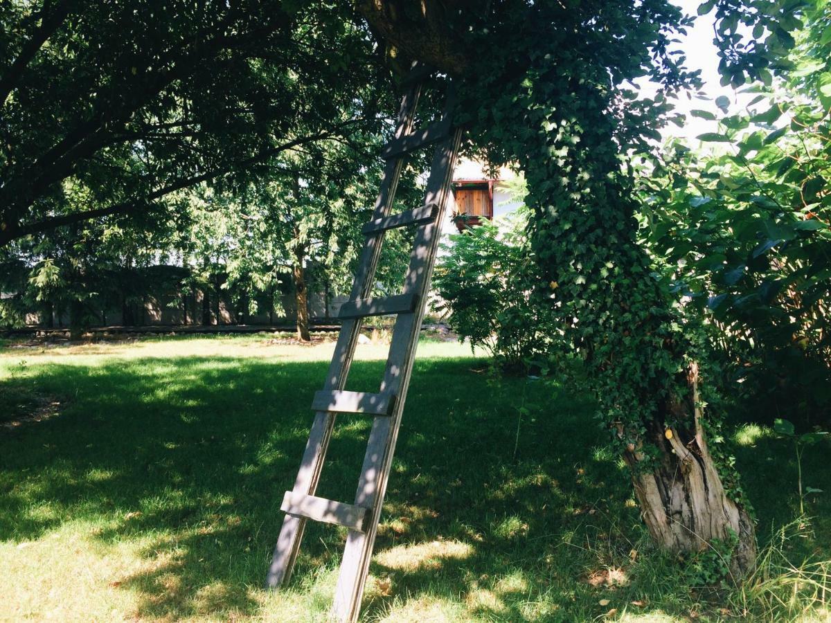Casa Mia Xix-W Nadmorski Dom Z Ogrodem Cedry Male 外观 照片